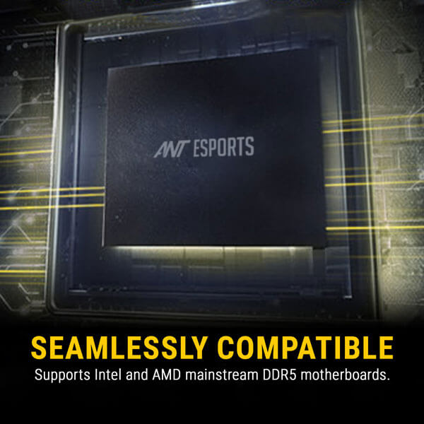 Ant Esports 690 Neo FP 32GB DDR5 5200MHz Laptop RAM